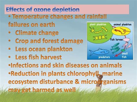 PPT - Ozone Layer Depletion PowerPoint Presentation - ID:5461129