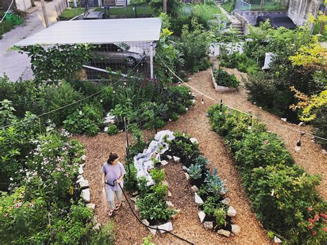 Matt Lebon is building urban farms and permaculture food forests in St. Louis — tasteMAKERS