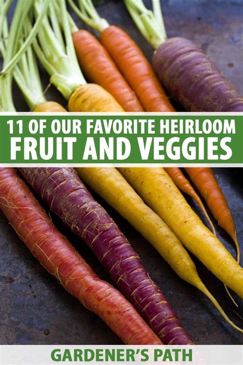 Grow Heirloom Fruits & Vegetables with 11 Top Varieties | Gardener’s Path