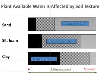 The important role of soil texture on water – Crops and Soils