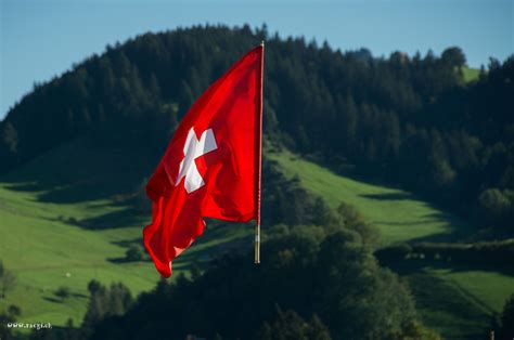 ctsuddeth.com: Switzerland's flag? | Switzerland flag, Geneva ...