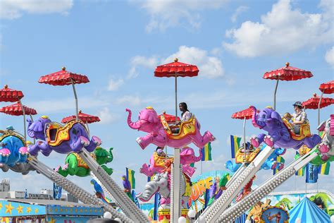 Montgomery County Fair Returns in August With Rides, Animals, and ...