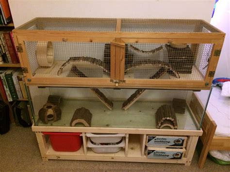 Gerbil Housing Pictures II | The Gerbil Forum | Gerbil, Hamster diy ...