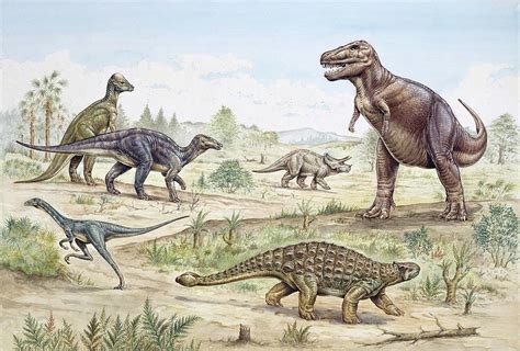 Upper Cretaceous Dinosaurs Photograph by Natural History Museum, London/science Photo Library ...