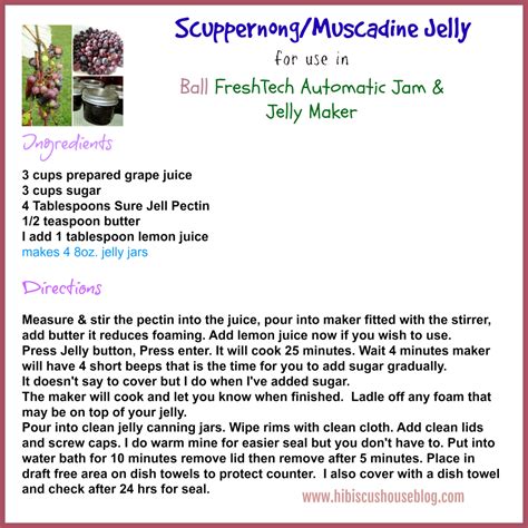 Muscadine Jelly Recipe Sure Jell | Besto Blog