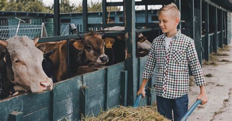 These Are the Advantages of Farm Life for Kids - Mommybites