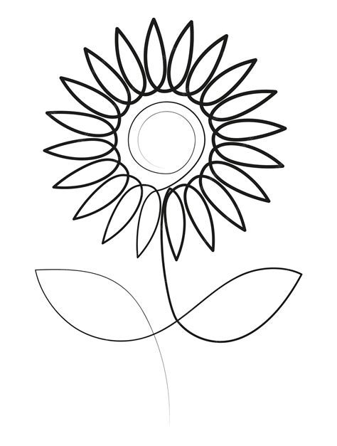 Premium Vector | Sunflower in one line art drawing