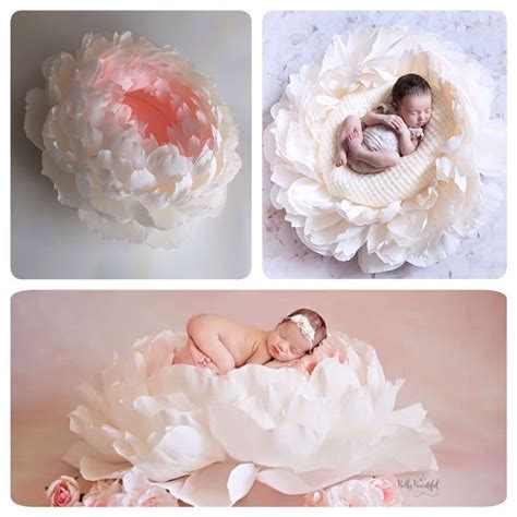 Giant Flower Newborn Baby Photography Props Children Props | Etsy | Infant photography props ...