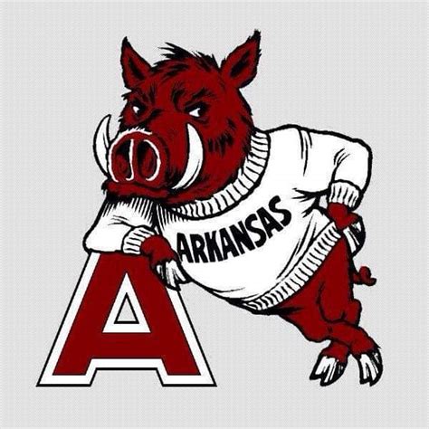 Razorback Animal Facts