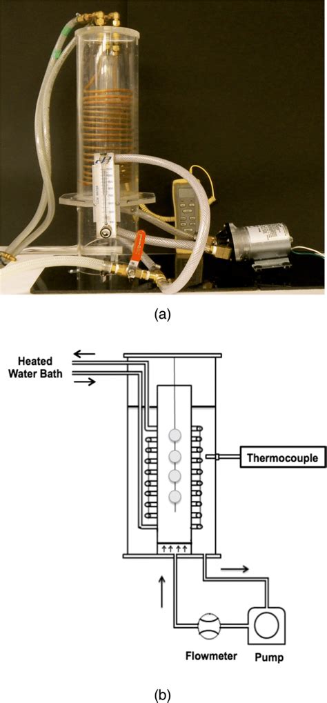 a The osmotic dehydration system with solution circulation; b schematic ...