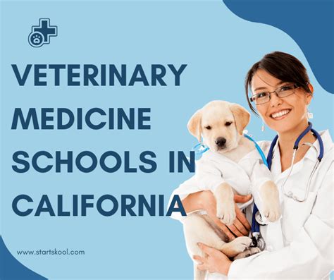 Top 20 Veterinary Medicine Schools in California | Start Skool