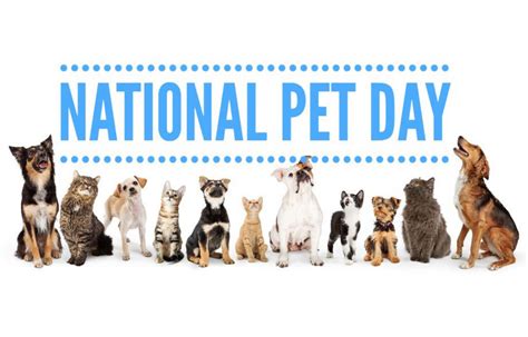 Why We Celebrate National Pet Day