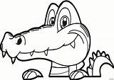 Crocodiles Coloring Pages  Learny Kids sketch template