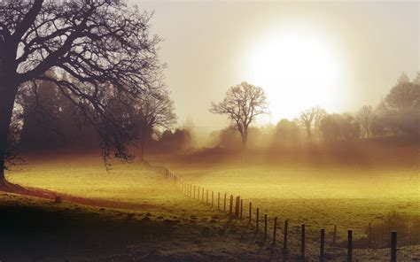 Morning Fog Backgrounds wallpaper | 2560x1600 | #31014