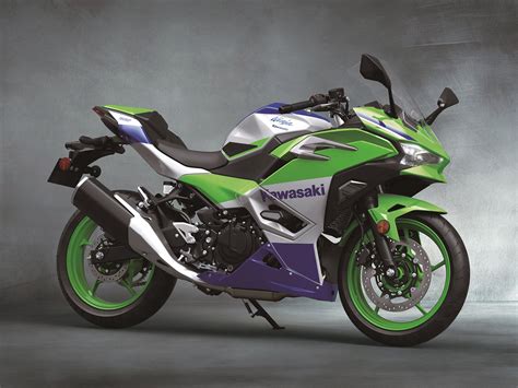 2024 Kawasaki Ninja 500 Top Speed Km H - Barbe Carlita