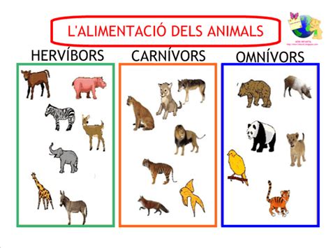 Cuadros comparativos de animales carnívoros y herbívoros | Cuadros ...