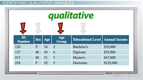 Qualitative Variable in Statistics: Definition & Examples - Video ...