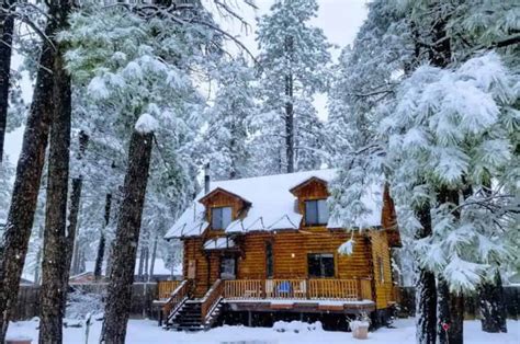 9 Beautiful Pet-Friendly Cabins in Flagstaff, Arizona - Doggy Check In