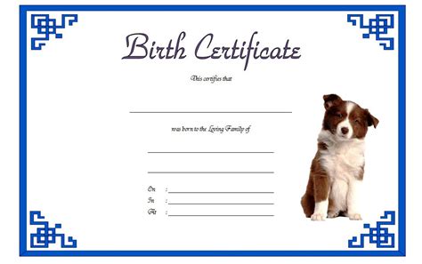 Puppy Birth Certificate Template - 10+ Special Editions