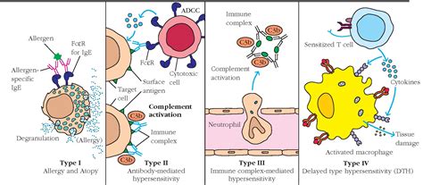 Hypersensitivity- Introduction, Causes, Mechanism and Types