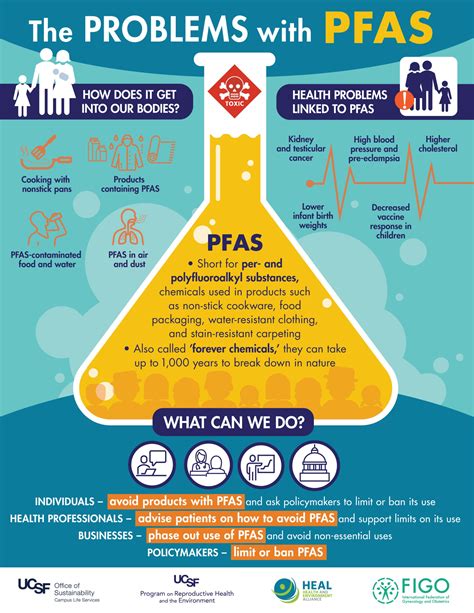 New resources available on health impacts of ‘forever chemicals’ PFAS