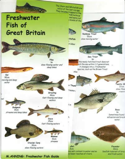 Books on British Freshwater Fish, British Freshwater fishes charts and guides, Fishes of the ...