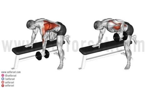 9 Best Dumbbell Back Exercises to Enhance Your Workouts - SET FOR SET