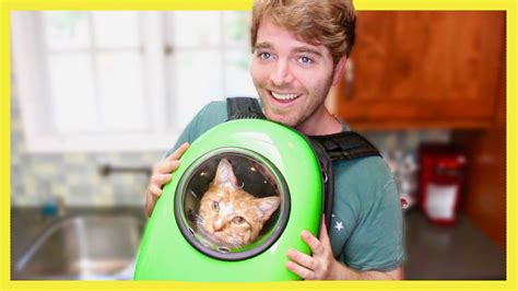 Shane Dawson on Twitter: "NEW VID!! **TESTING WEIRD CAT PRODUCTS 2 ...