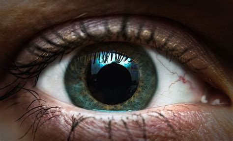 Dilated Pupils: Causes, Symptoms, and Treatment | MyVision.org