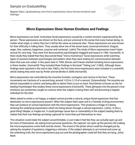 ⇉Micro Expressions Show Human Emotions and Feelings Essay Example ...