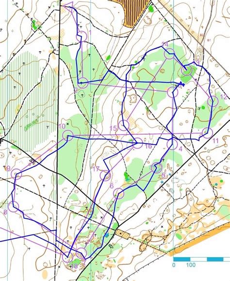 Savernake Forest, North Wilts - Quantock Orienteers