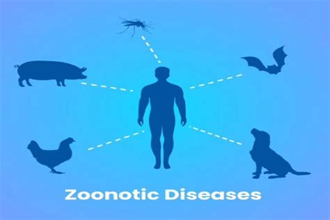 World Zoonoses Day 2020: What is Zoonosis And How Does The Infectious Disease Spread