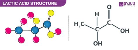 Lactic Acid - C3H6O3 Structure, Properties, Uses