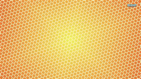 Honey Bee Comb Wallpaper