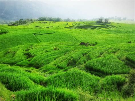 Trekking Pu Luong Nature Reserve - The Terrible Tour Guide Travel in ...