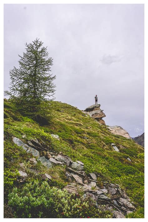 a man standing on top of a lush green hillside next to a tree covered hill