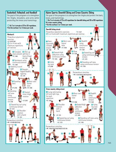 Basketball Strength Training Pdf | EOUA Blog