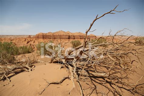 Mongolian Desert Stock Photo | Royalty-Free | FreeImages