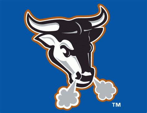 Durham Bulls Cap Logo (2000) - An angry black bull with white and bronze outlines on blue Team ...