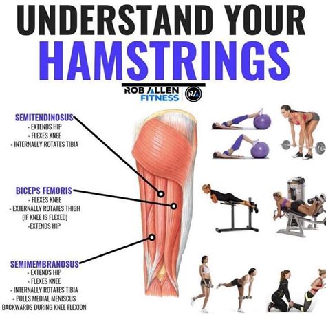 Hamstrings Workout: Improve Hamstring Strength And… | Hamstring workout ...