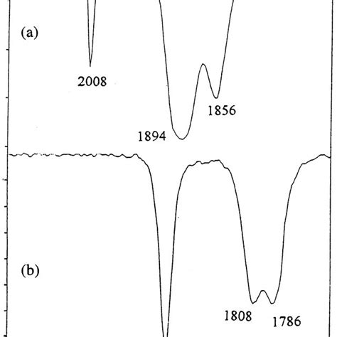 IR spectra in the carbonyl region for (a) W(CO) 4 (h 2-PNN) and (b ...