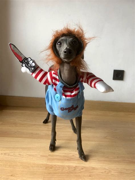 Chucky Dog Costume - JDGOSHOP - Creative Gifts, Funny Products ...