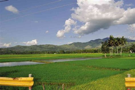 Bigger LGU role in land use allocation sought | Inquirer Business