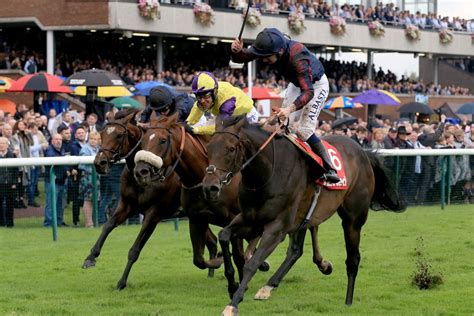 Haydock races: tips, racecards and previews for Saturday's card as the Sprint Cup takes centre stage