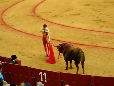 The Physics of the Quest: Corrida de Toros - Una Experiencia Española