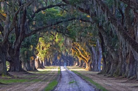 Visit These Iconic Forrest Gump Filming Locations | Smithsonian