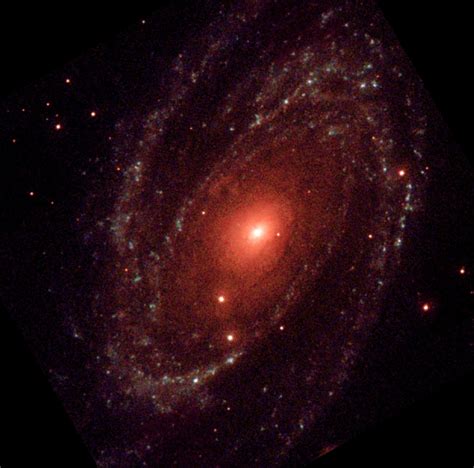 Ultraviolet and X-Ray Images of the M81 Galaxy