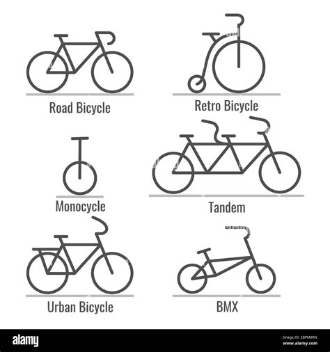 Bicycle types collection Stock Vector Image & Art - Alamy