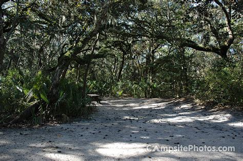 Little Talbot Island State Park - Campsite Photos, Info & Reservations