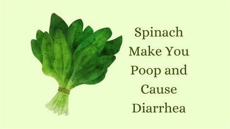 Does Spinach Make You Poop and Cause Diarrhea? [Full Guide] - HealthNord